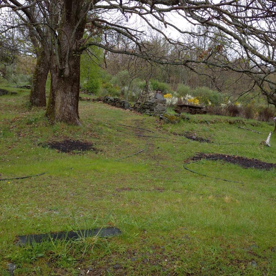 Casa Rural Leonor San Ciprián Eksteriør billede